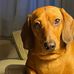 Wanda Townsend - Facebook