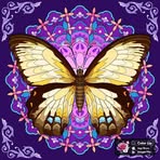 Wanda Trautman - Facebook