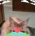 Wanda Tribble - Facebook