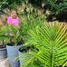 Wanda Tribble Smith - Facebook