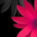 Wanda Trosclair - Facebook