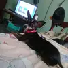 wanda prisila cedeño ureña - @wandapc8 - TikTok