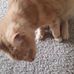 Wanda Vanderpool - Facebook
