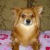 Wanda Vickers - Facebook