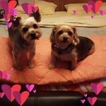 Wanda Vickers Jackson - @wandavickersjackson - Instagram