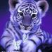 Wanda Vickers Jackson - Facebook
