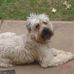 Wanda Vowell - Facebook