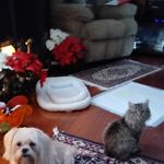 Wanda Wade - @wanda.wade.3593 - Instagram