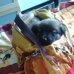 Maria Wanda Wagner - @wa.nda620 - Instagram