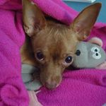 Wanda Wagner - @wandawagner553 - Instagram