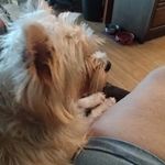 Wanda Wagner - @wanda.wagner.73700 - Instagram