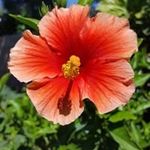 Wanda Wagner - @wanda.wagner.7315 - Instagram