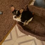 Wanda Walters - @wanda.walters.10420 - Instagram