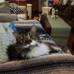 Wanda Walton - @wandawalton34 - Instagram