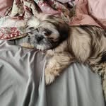 Wanda Walton - @wanda.walton.3950 - Instagram