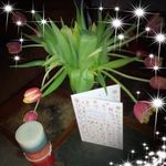 Wanda Walton - @wanda.walton.96387 - Instagram