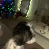 wandawardlaw7 - @wandawardlaw7 - TikTok