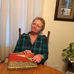 Wanda Weber - @wandawenet - Instagram