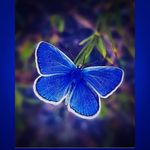 Wanda Weems - @wandawe21 - Instagram