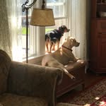 Wanda Hittinger - @wandaweir - Instagram