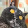 Weirdo Wanda🦸🏿‍♀️ - @weirdowandacat - TikTok
