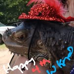 Wanda West - @wandawest632 - Instagram
