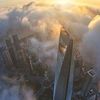 Wanda Whitehead - @wandawhitehead1 - TikTok