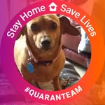Wanda Whitehead - @wanda.whitehead.39 - Instagram