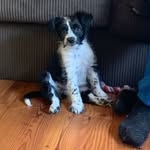 wanda wilcox - @wanda1957wilcox - Instagram