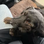 Wanda - @wanda_willswissen - Instagram