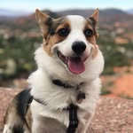 Wanda & Winston - @wandaandwinston - Instagram