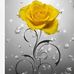Wanda Winston - Facebook