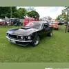 mustanggirl75 - @wanda.winters - TikTok