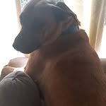 Wanda Winters - @wanda.winters.5682 - Instagram
