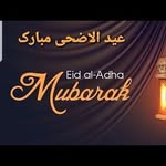 Waqar jamil - @waqarjamil87 - Instagram