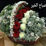 Waqar Ullah - @waqar6337 - Instagram
