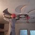 Waqar Ullah - Facebook