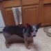 Ward Anderson - Facebook