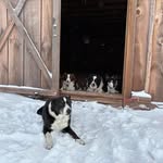Bell Ward - @ward.bell - Instagram