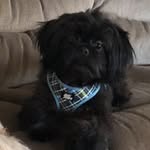 Colleen Ward Bennett - @bennett0807 - Instagram