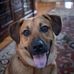 Ward Bowen - Facebook