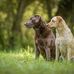 Birgit Bretthauer - Facebook