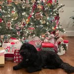 Betsy Ward Carroll - @betsywcarroll - Instagram