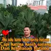 wardycoe - @wardycoe - TikTok