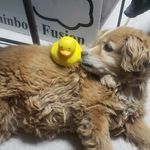 Ward Collins - @sharp96797 - Instagram