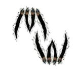 Ward Athletic Council - @mwwac - Instagram