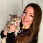Lauren Ward Foster Kittens - @lwardfosters - Instagram