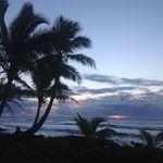 Ward Gardner - @wardlyant - Instagram