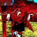 Joel Ward-Gibson - Facebook