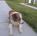Ward Gibson - Facebook